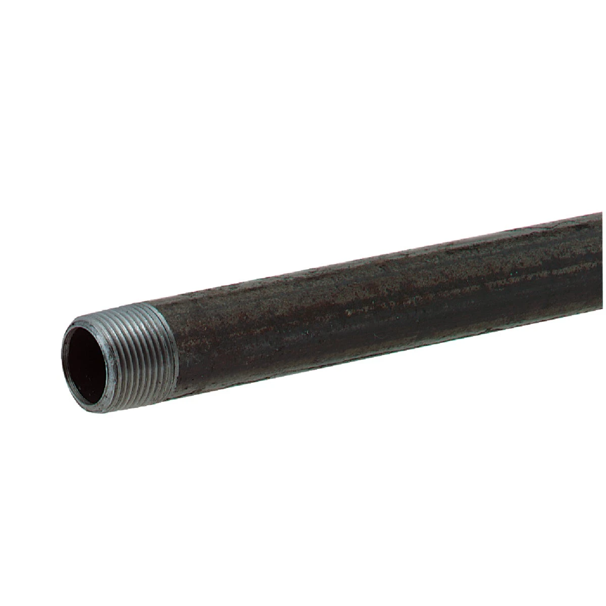 celebrationhardware4661124
