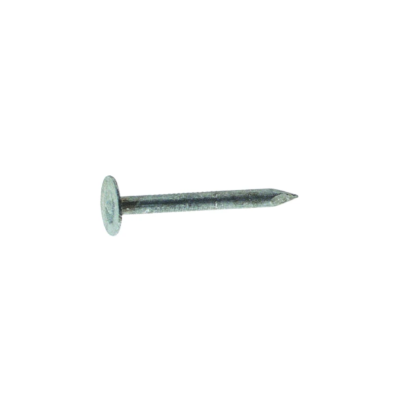 celebrationhardware4740519