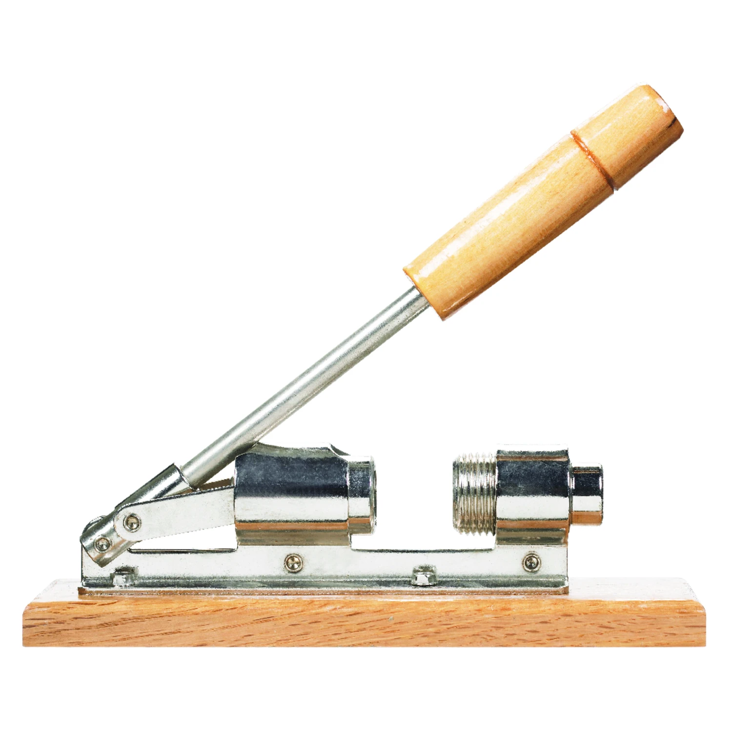 celebrationhardware4905234