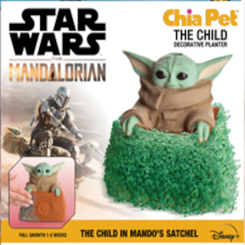 celebrationhardware5390430