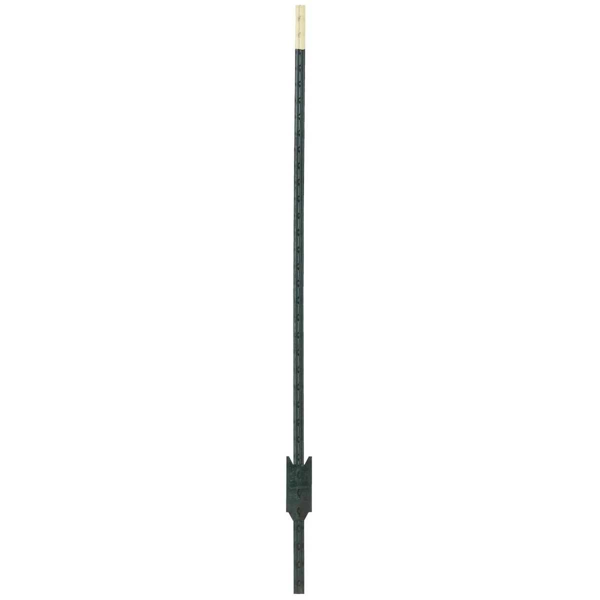 celebrationhardware5517081