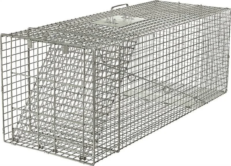 store.ridoutlumber4869961